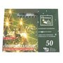 Kerstverlichting-50-lampjes-helder